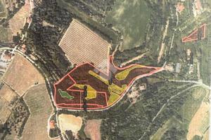 TER. AGRICOLO A BERTINORO