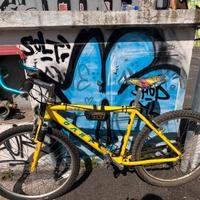 bicicletta MTB in alluminio