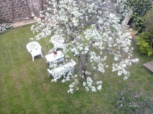 Appartamento più bivano indipendente con giardino