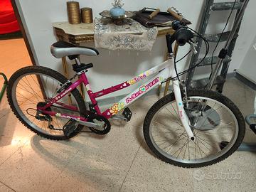 Bicicletta 