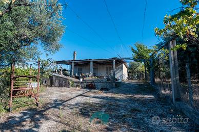 Gallicano nel lazio: unifamiliare con giardino
