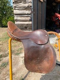 Sella inglese da scuola