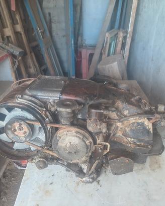 Fiat 500 Giardiniera Autobianchi Bianchina Panoram