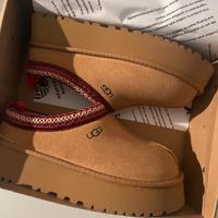 stivali UGG tazz