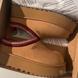 stivali UGG tazz