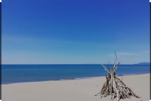 Vacanze al mare 15-30 agosto Bilocale con balcone