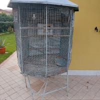voliera ottagonale 