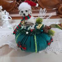 Bon Bon
