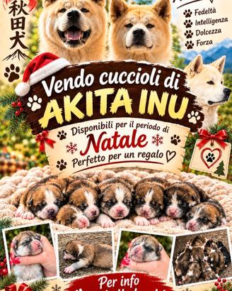 Akita inu