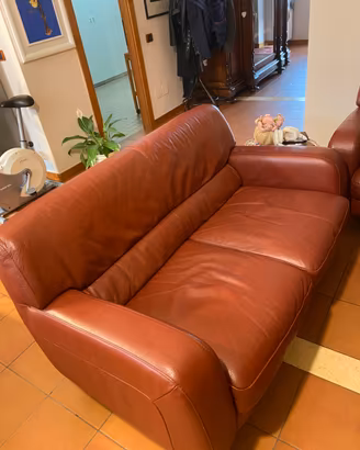 Coppia di divani in pelle