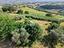 Immagine 18
