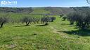 terreno-residenziale-lanciano-v335vrg-
