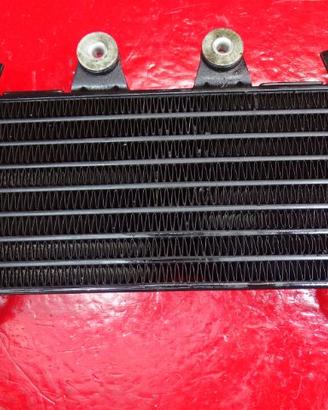 RADIATORE OLIO BMW R NINE T