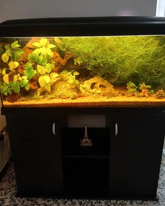 Acquario Cayman 110