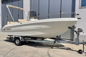 Mingolla Brava 18 con selva dorado 40 xsr