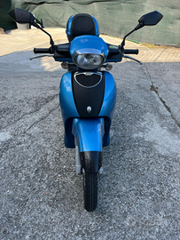 Vendita Scarabeo 100