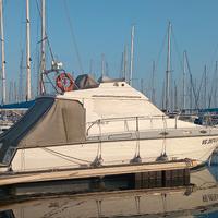 Barca a motore Striking 32