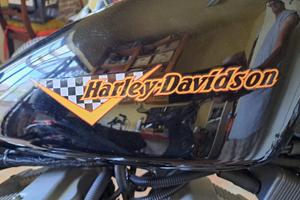 Harley Davidson sposter 1200 Roadster