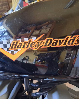 Harley Davidson sposter 1200 Roadster