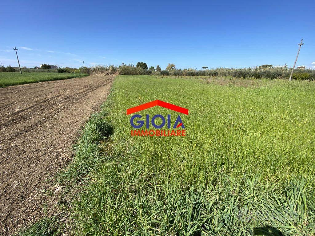 Terreno di 3333 m² a Sessa Aurunca - Vista 5