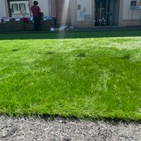 Tappeto erboso - Erba sintetica