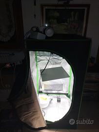 kit grow box completa 