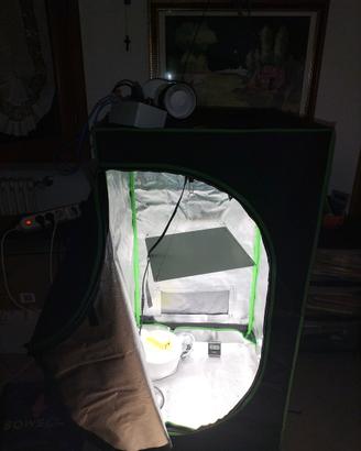 kit grow box completa 