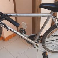 BICICLETTA MOUNTAN BIKE 