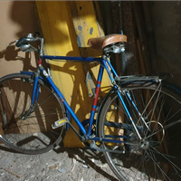 Bici da bi