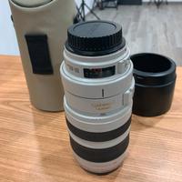 Canon EF 100-400mm f/4.5-5.6 L IS USM