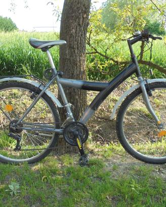 Mountain bike
