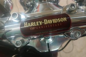 Harley-Davidson Softeil Heriteig 1890