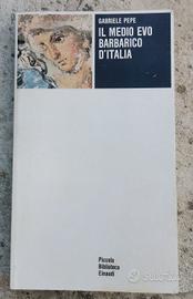 Il Medio Evo Barbarico d'Italia 