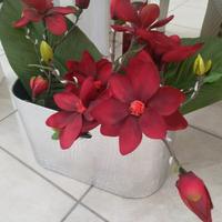 Porta riviste - porta fiori