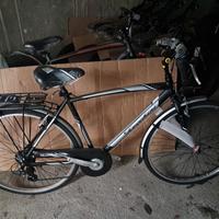 nuova bicicletta zecchini 