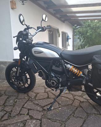 ducati scrambler