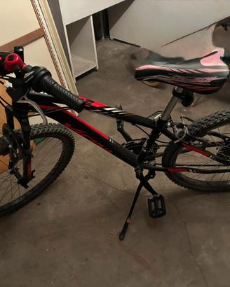 Mountain bike