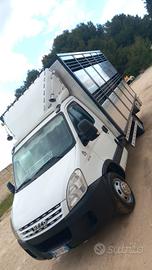 35c18 trasporto animali vivi 