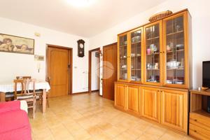 3 LOCALI A SILVI