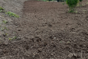 Terreno con rudere destinazione turistica