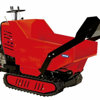 MINITRANSPORTER/MOTOCARRIOLA 500KG