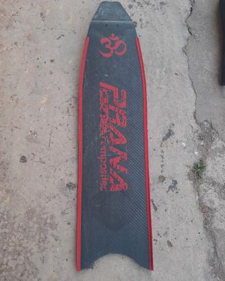 Pinna Cetma Prana