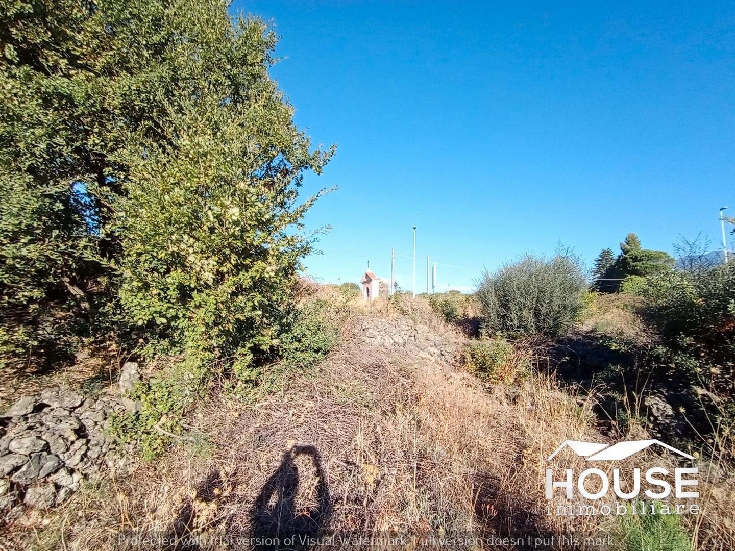 BELPASSO – TERRENO AGRICOLO ID: PBE036T - Altro