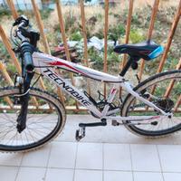 bicicletta tecnobici 