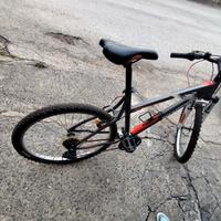 Mountain Bike Rockrider RR 5.1