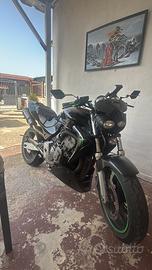 Hornet 600