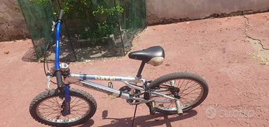 bici 20