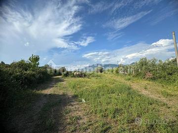 Guidonia montecelio-lotto di terreno 4700 mq