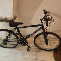 Bicicletta da ragazzo