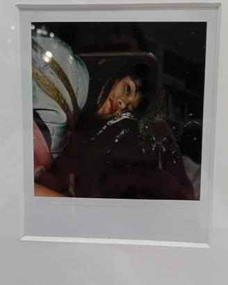 polaroid Araki 